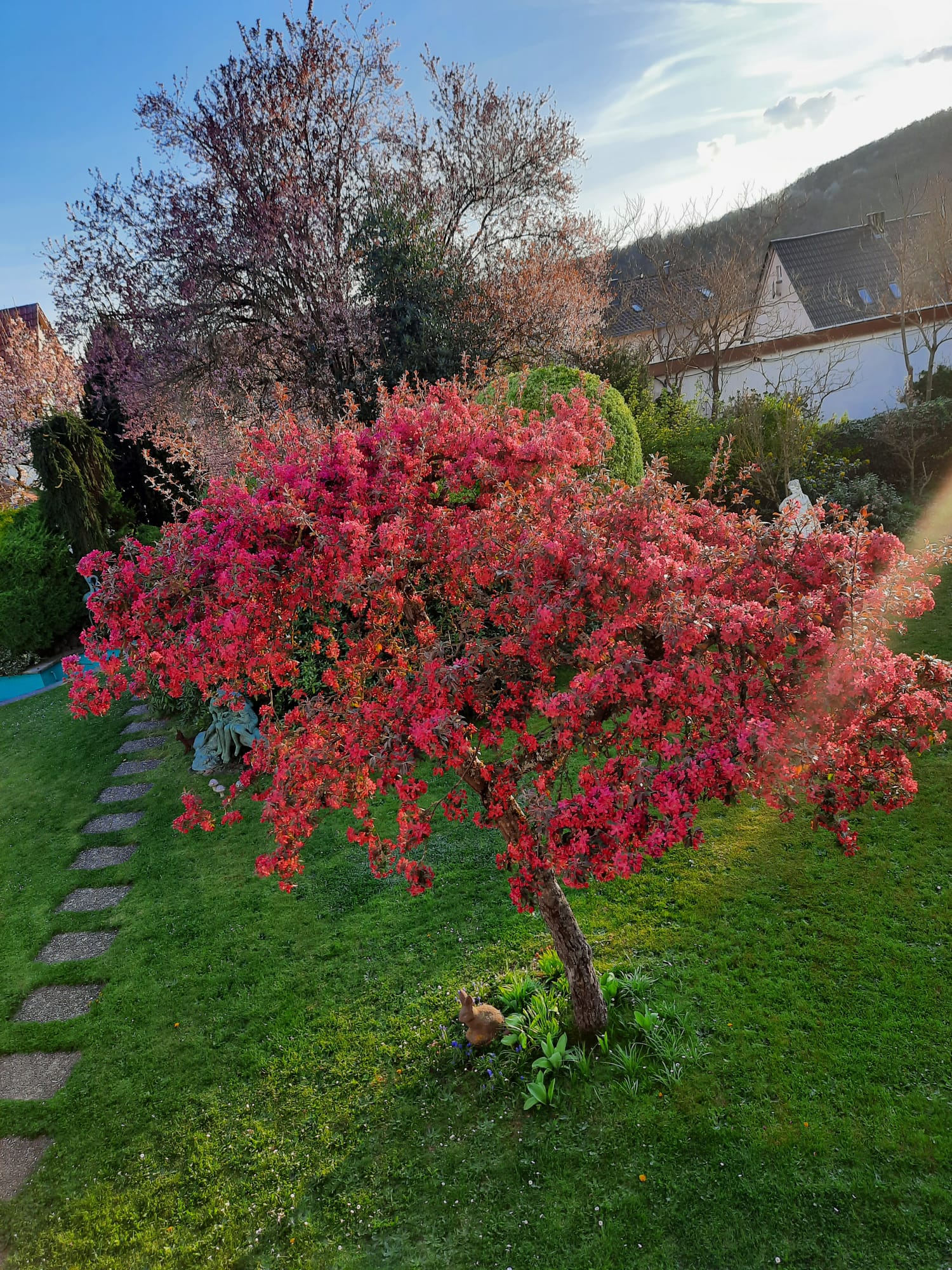 Haus Rhoenlust Garten
